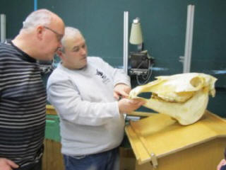 Pferdedentist Vortrag